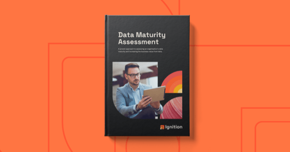 Ignition resource Data Maturity Assessment-min